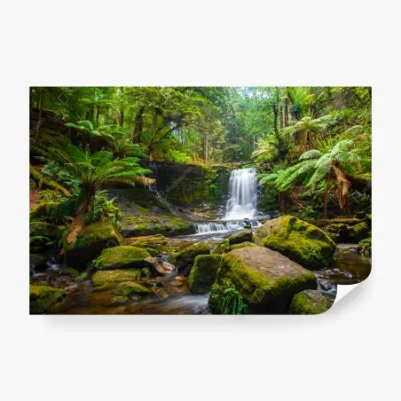 Fotomural refugio de musgo y cascadas en el bosque – Pixers®
