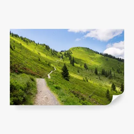 Fotomural sendero entre colinas verdes – Pixers®