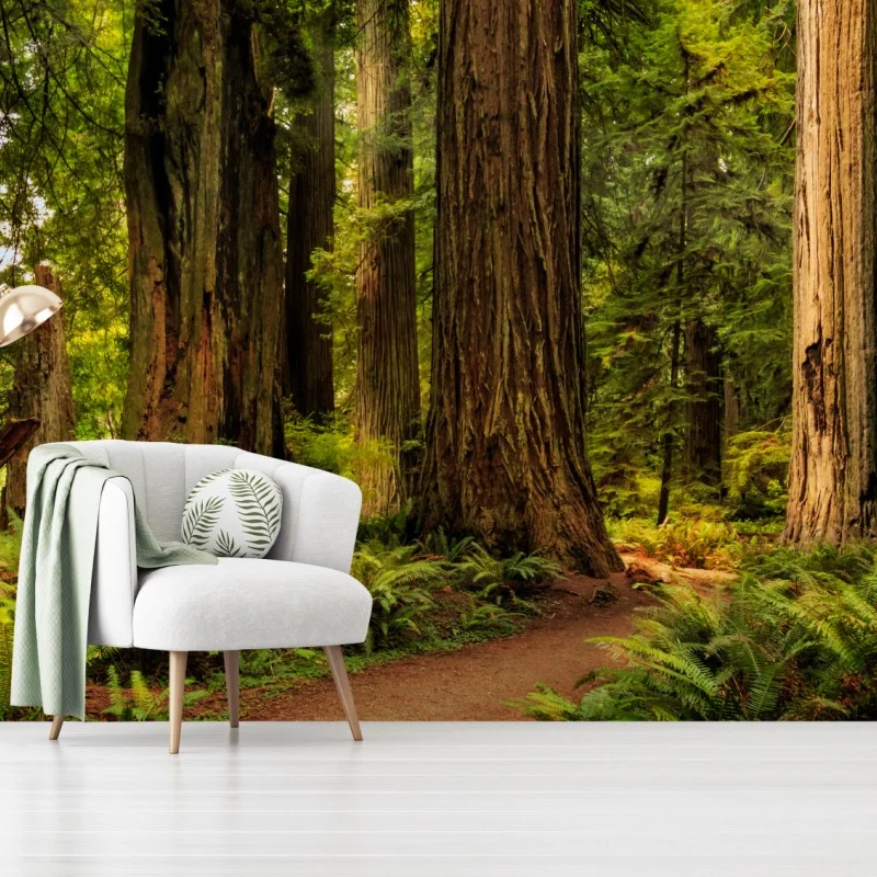 Fotomural bosque de secuoyas en California