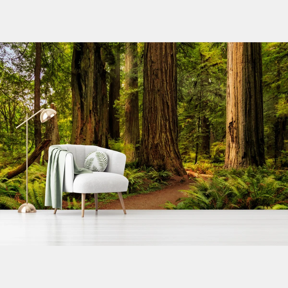 Fotomural bosque de secuoyas en California – Pixers® Fotomural bosque de secuoyas en California – Pixers®