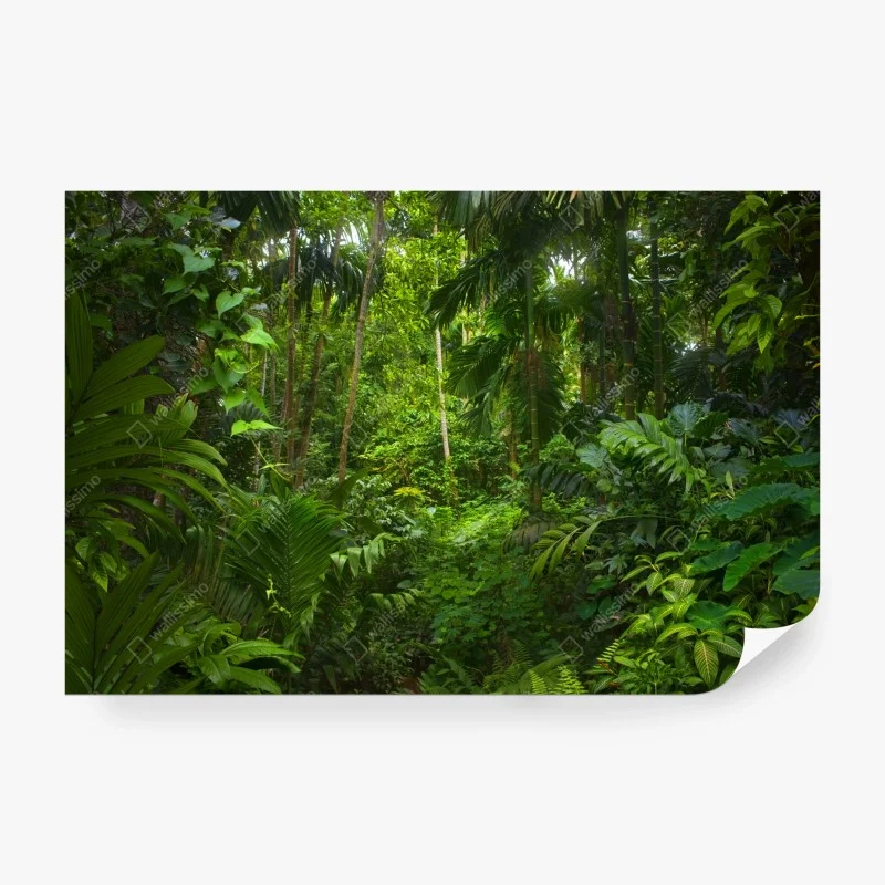 Fotomural profundidad verde de la selva