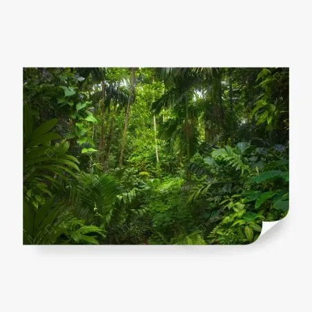 Fotomural profundidad verde de la selva – Pixers®