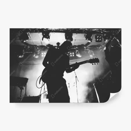 Fotomural silueta de guitarrista en concierto – Pixers®