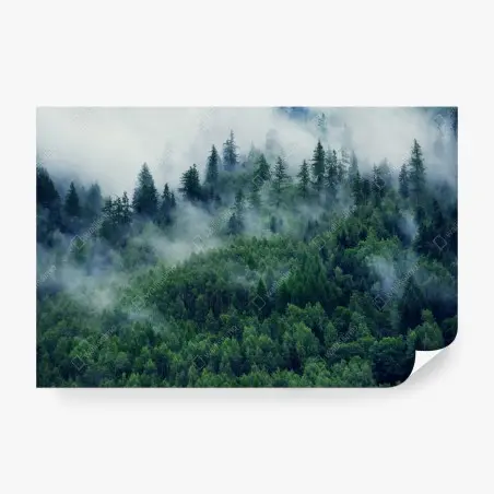 Fotomural bosque en la niebla, calma montañosa – Pixers®