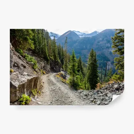 Fotomural sendero alpino entre pinos y cumbres nevadas – Pixers®