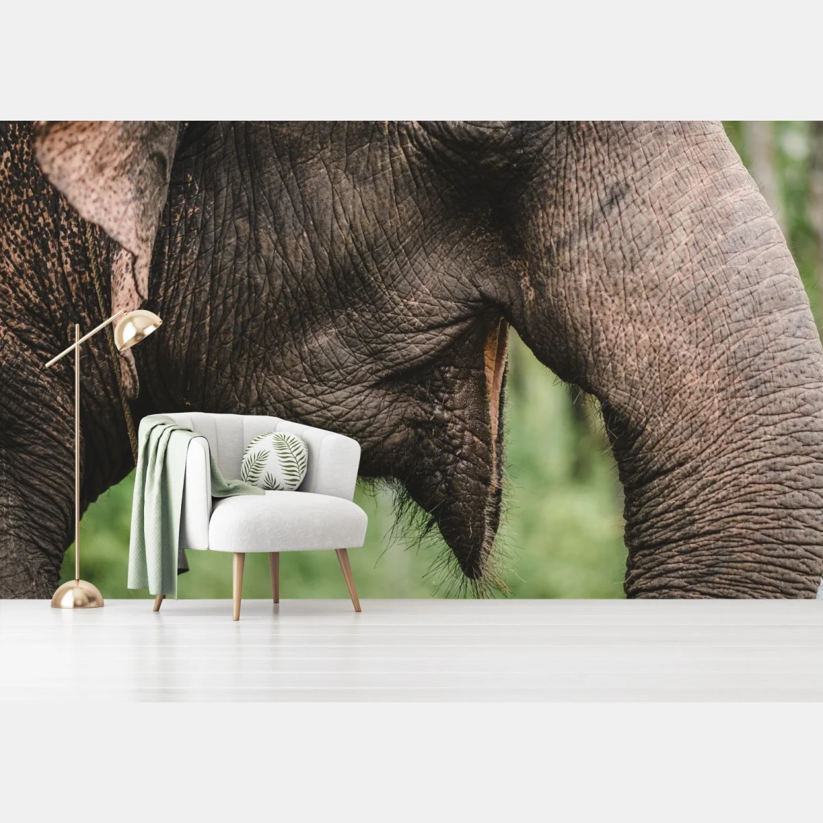 Fotomural primer plano de trompa y oreja de elefante asiático – Pixers® Fotomural primer plano de trompa y oreja de elefante asiático – Pixers®