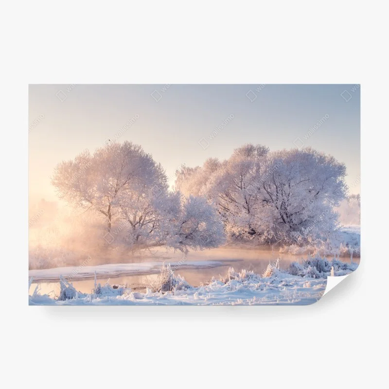 Fotomural amanecer invernal con árboles cubiertos de escarcha