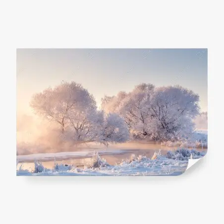 Fotomural amanecer invernal con árboles cubiertos de escarcha – Pixers®