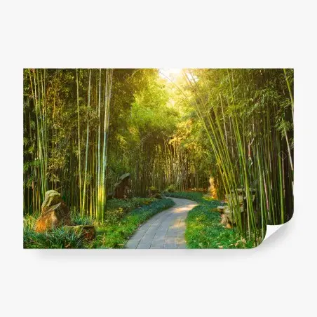 Fotomural sendero sereno entre bambús al amanecer – Pixers®