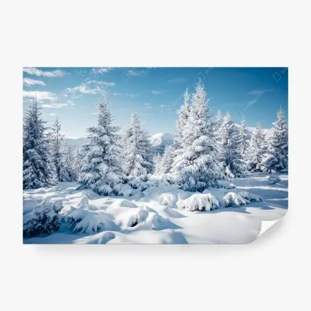 Fotomural bosque de abetos nevados en los Cárpatos, Ucrania – Pixers®