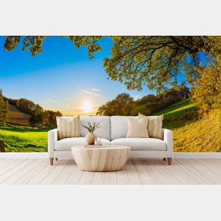 Fotomural sendero al atardecer en el campo – Pixers®