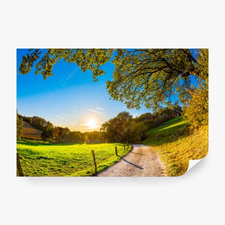 Fotomural sendero al atardecer en el campo – Pixers®