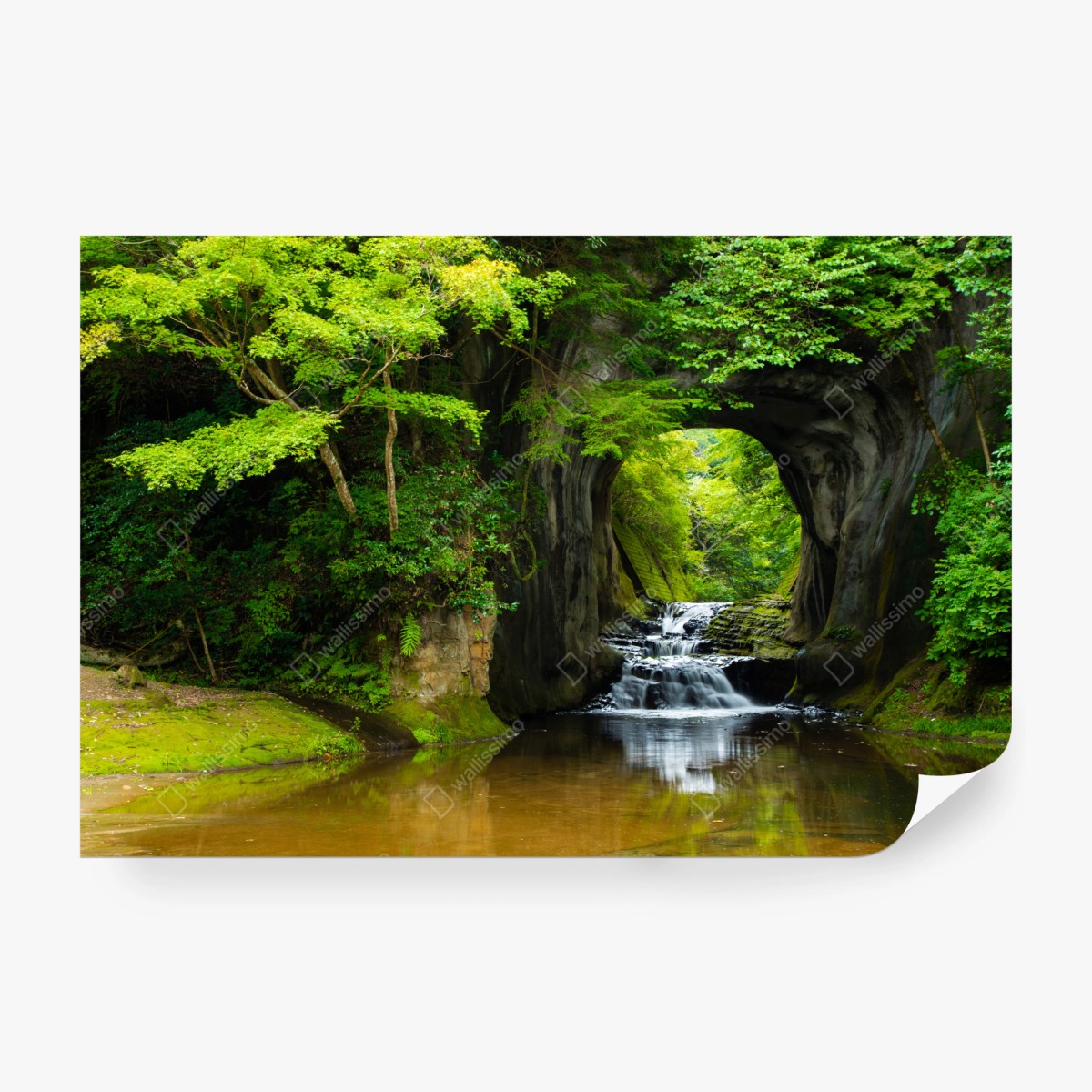 Fotomural arco natural con cascada en bosque verde – Pixers®