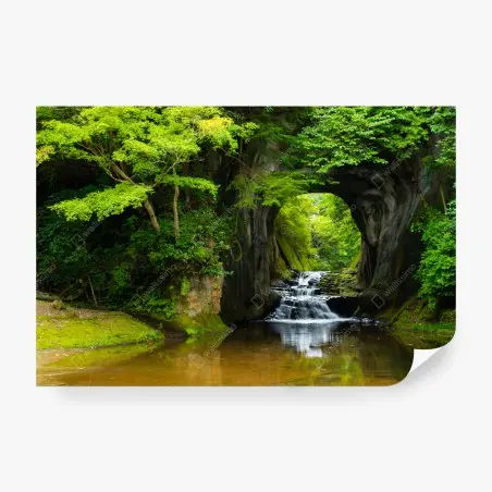 Fotomural arco natural con cascada en bosque verde – Pixers®