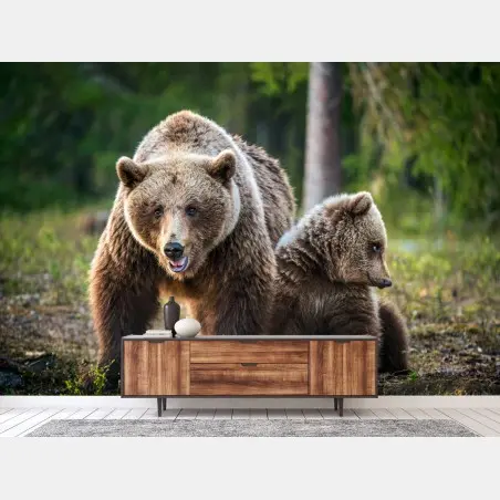 Fotomural osa parda y cachorro en el bosque – Pixers®