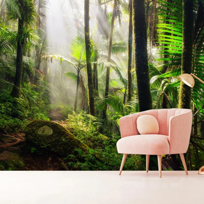 Fotomural amanecer en la selva tropical