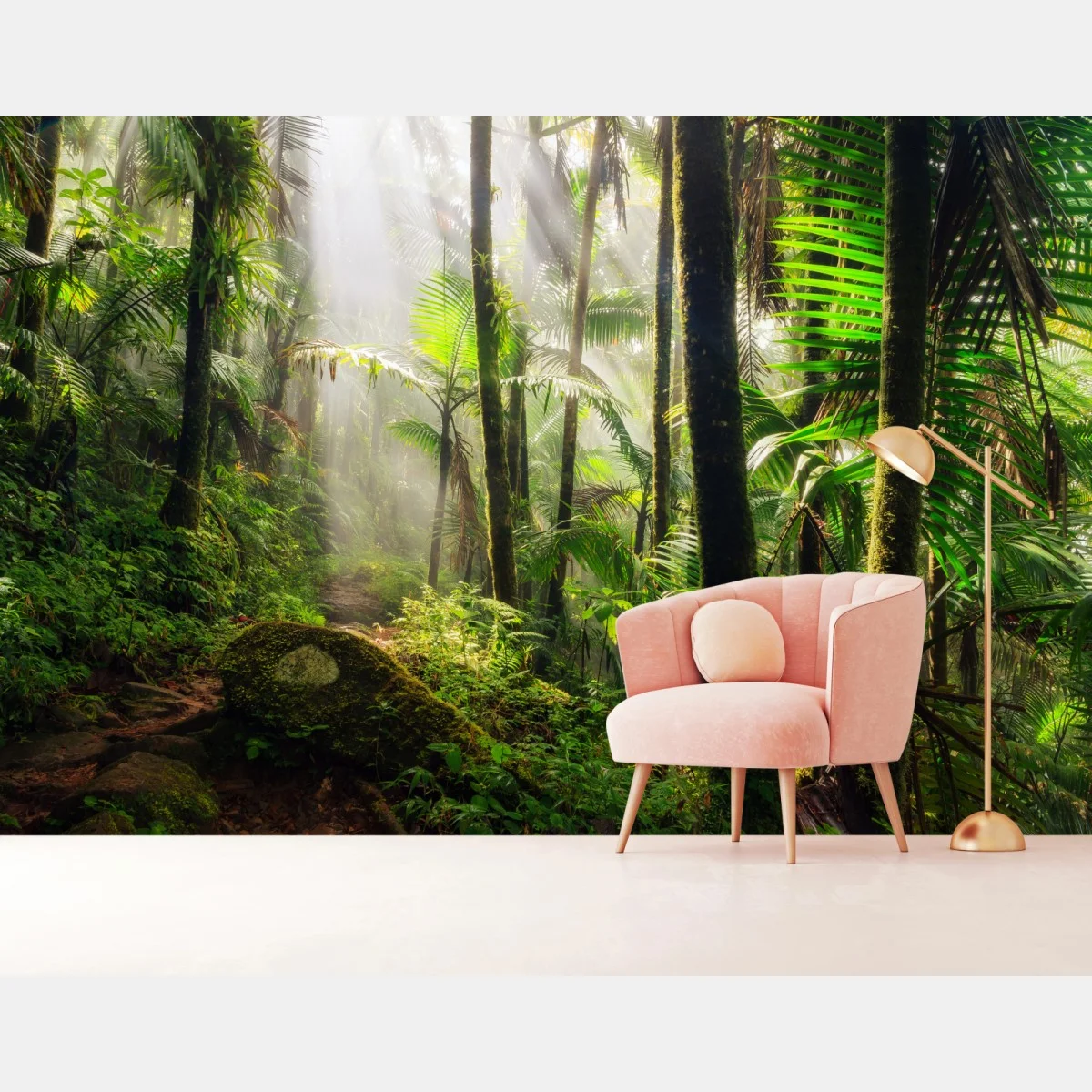 Fotomural amanecer en la selva tropical – Pixers® Fotomural amanecer en la selva tropical – Pixers®