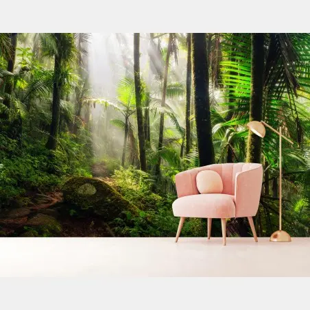 Fotomural amanecer en la selva tropical – Pixers®