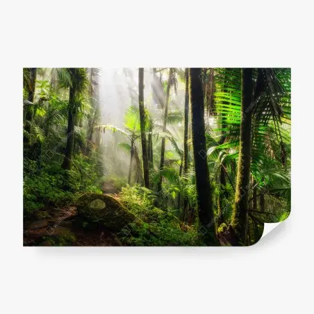 Fotomural amanecer en la selva tropical – Pixers®