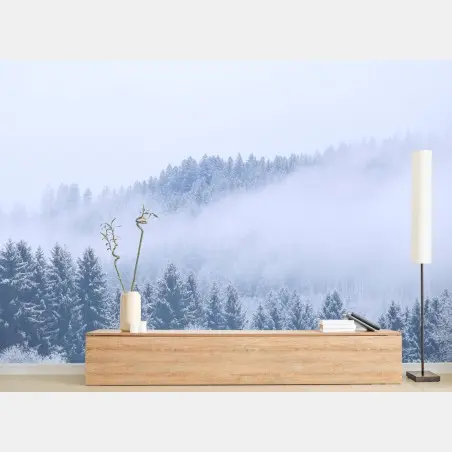 Fotomural bosque invernal en niebla, Alemania – Pixers®