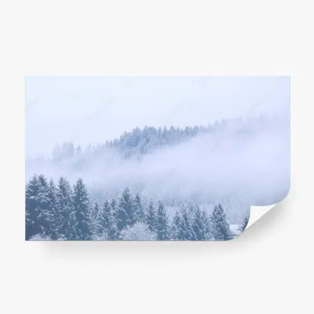Fotomural bosque invernal en niebla, Alemania – Pixers®