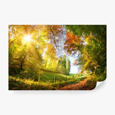 Fotomural camino dorado de otoño entre los árboles – Pixers®
