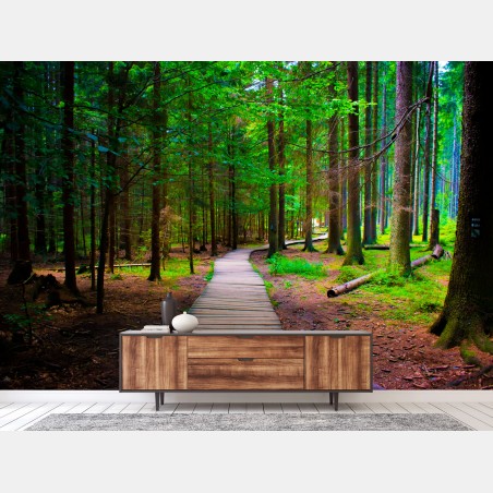 Fotomural sendero de madera en bosque verde – Pixers®