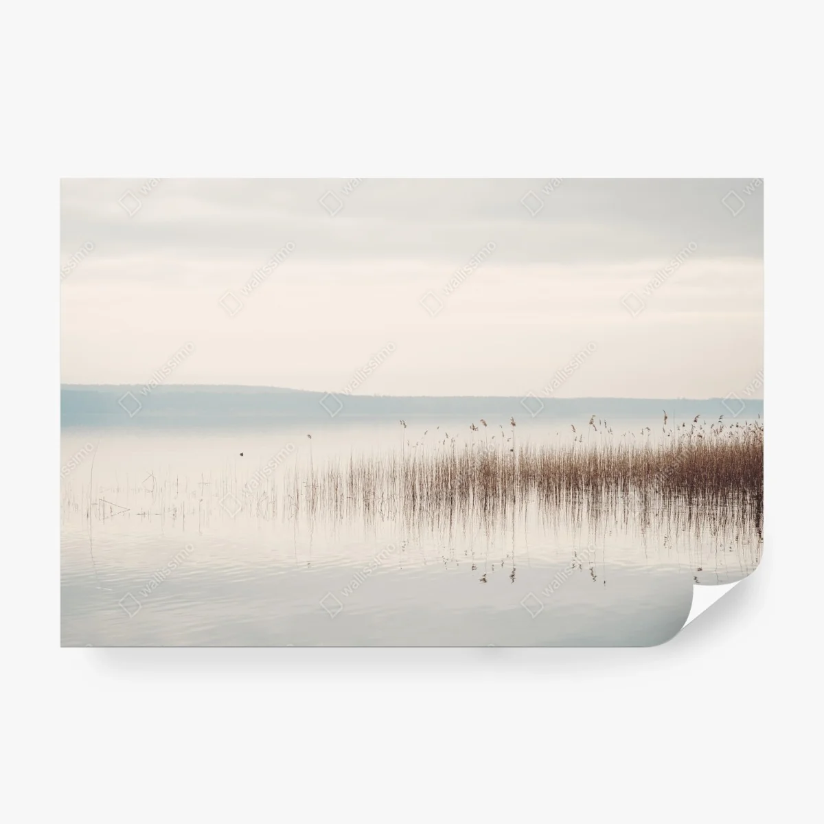 Fotomural paisaje lacustre minimalista con juncos – Pixers® Fotomural paisaje lacustre minimalista con juncos – Pixers®