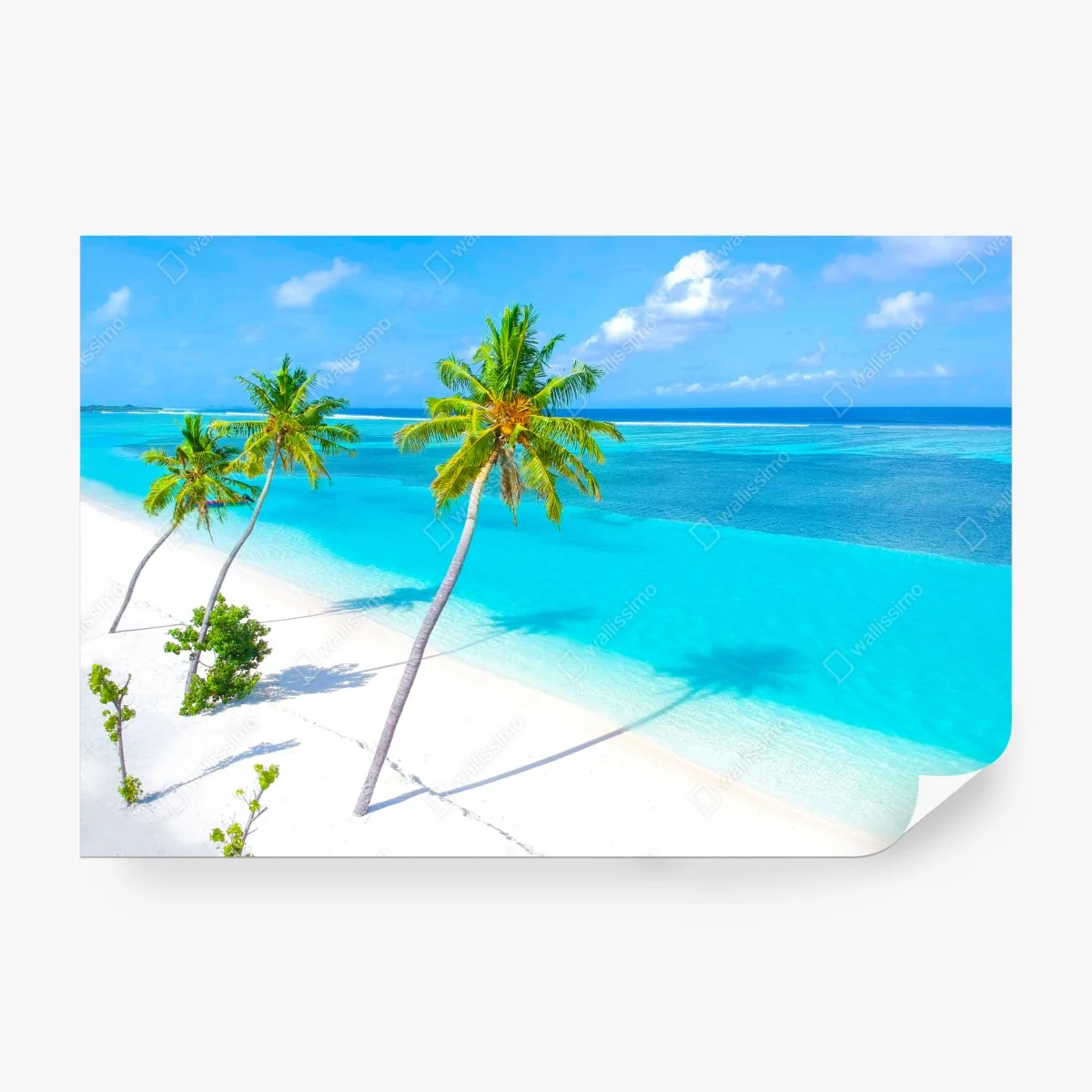 Fotomural paraíso tropical en aguas turquesas y palmeras – Pixers® Fotomural paraíso tropical en aguas turquesas y palmeras – Pixers®