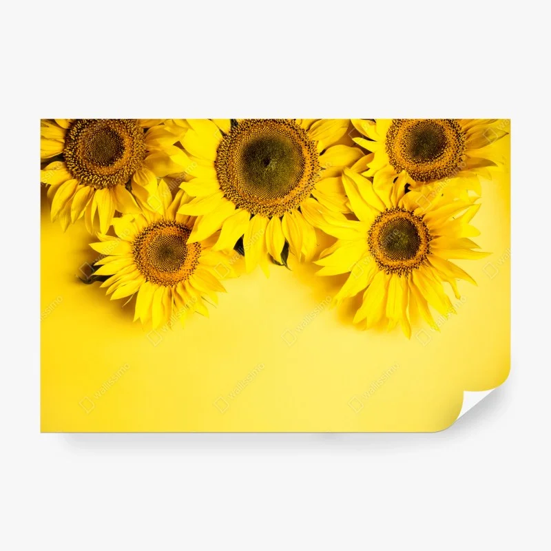 Fotomural girasoles sobre fondo amarillo