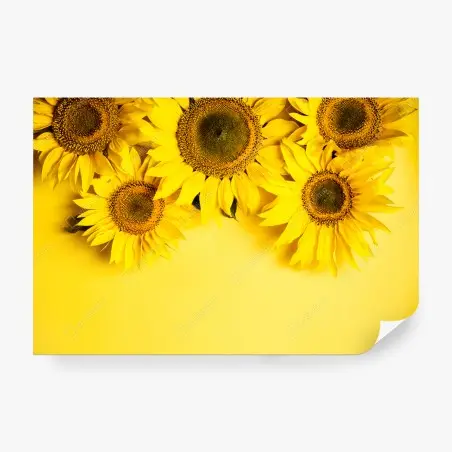 Fotomural girasoles sobre fondo amarillo – Pixers®
