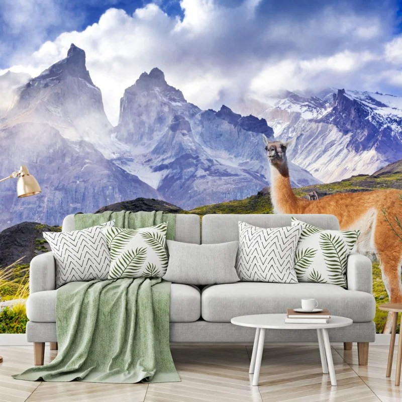 Fotomural amanecer en Torres del Paine