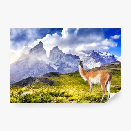 Fotomural amanecer en Torres del Paine – Pixers®
