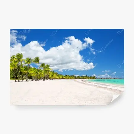 Fotomural escena de playa tropical en Punta Cana – Pixers®