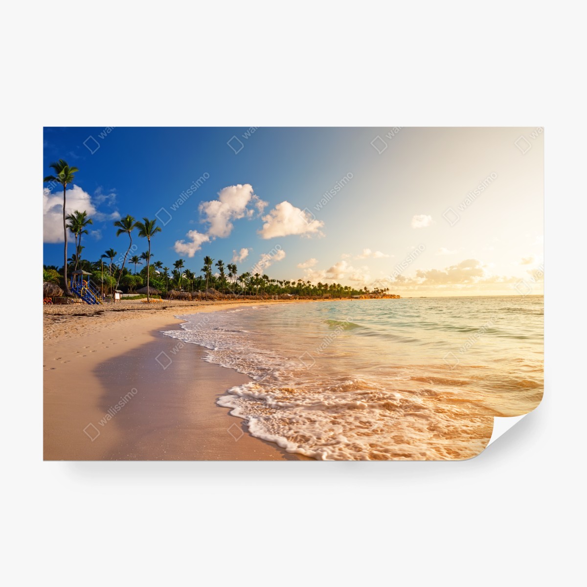 Fotomural puesta de sol tropical con palmeras – Pixers®