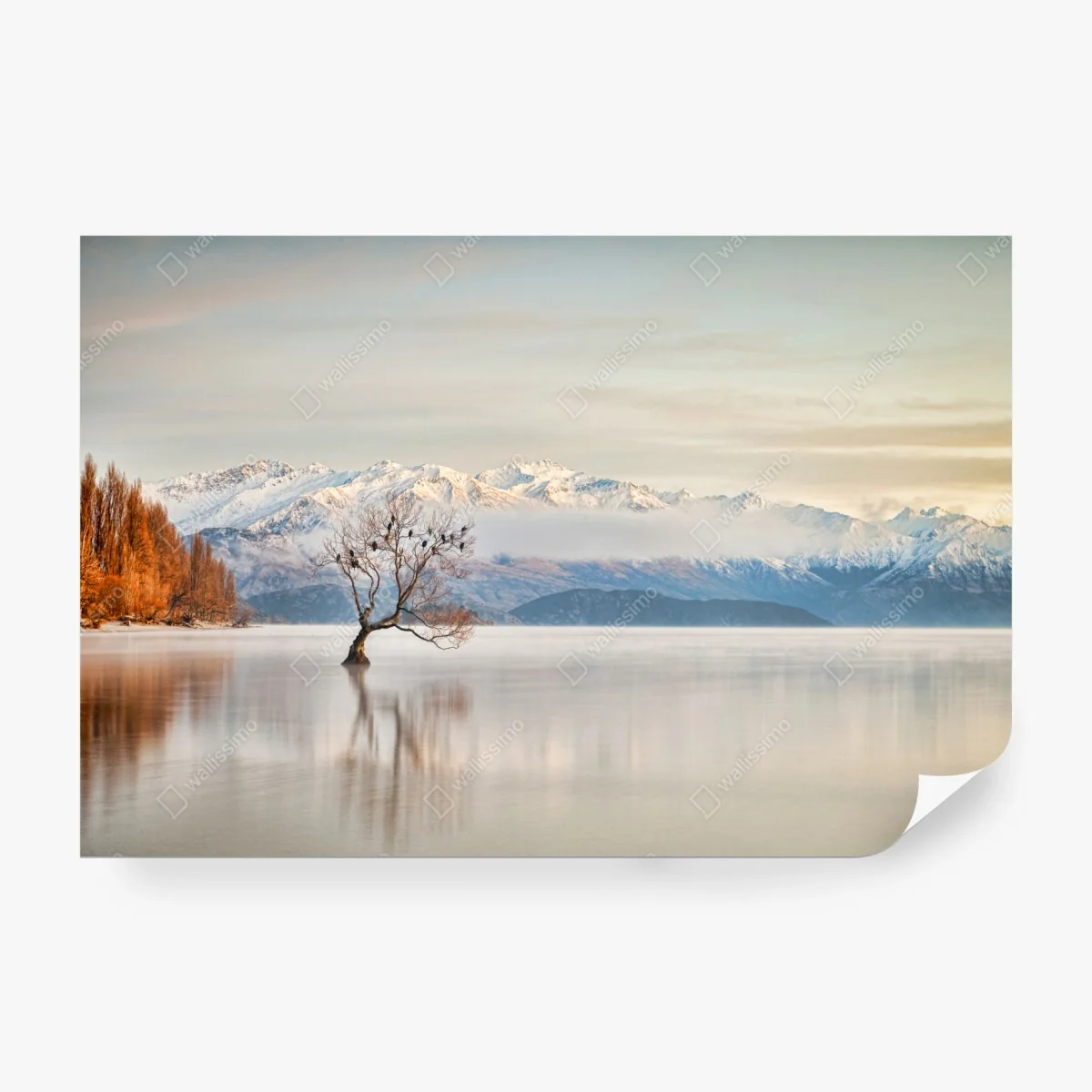 Fotomural escena invernal en lago Wanaka – Pixers® Fotomural escena invernal en lago Wanaka – Pixers®