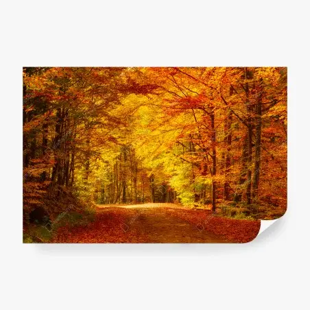 Fotomural bosque otoñal en tonos dorados – Pixers®