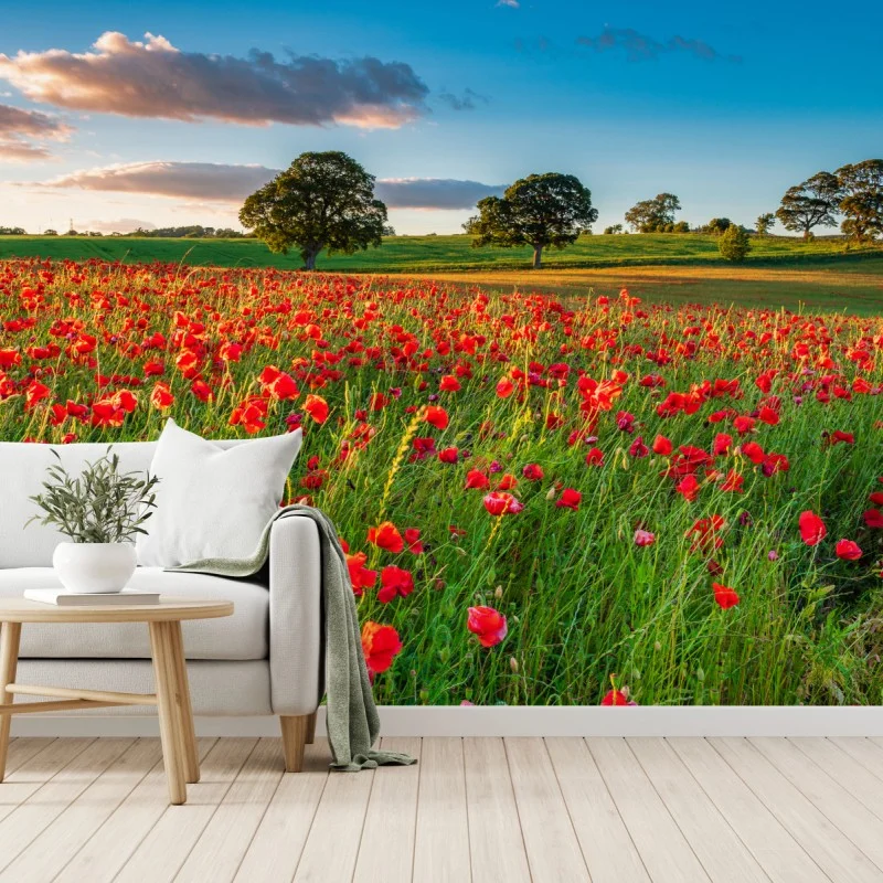 Fotomural campo de amapolas en Corbridge, Northumberland
