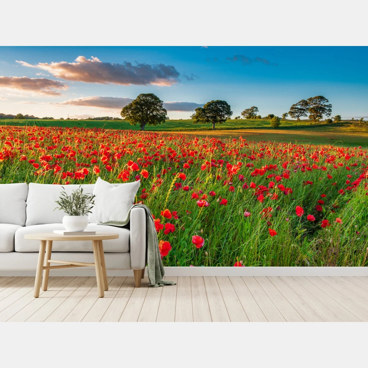 Fotomural campo de amapolas en Corbridge, Northumberland – Pixers® Fotomural campo de amapolas en Corbridge, Northumberland – Pixers®