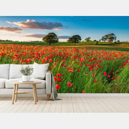 Fotomural campo de amapolas en Corbridge, Northumberland – Pixers®