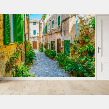 Fotomural calle empedrada con macetas y persianas verdes – Pixers®