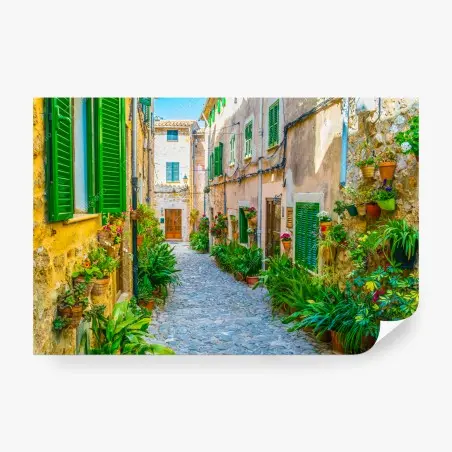 Fotomural calle empedrada con macetas y persianas verdes – Pixers®