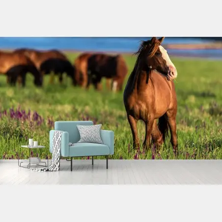 Fotomural caballo en pradera al atardecer – Pixers®