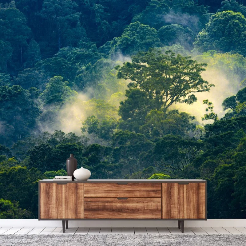 Fotomural amanecer en la selva neblinosa