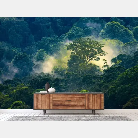 Fotomural amanecer en la selva neblinosa – Pixers®