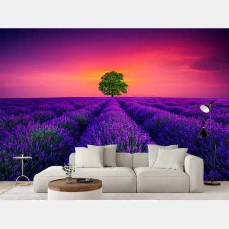 Fotomural árbol solitario entre campos de lavanda al atardecer – Pixers®
