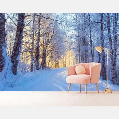 Fotomural camino nevado al amanecer en el bosque – Pixers®