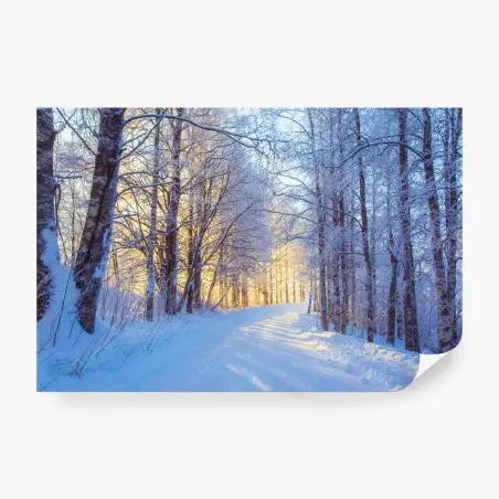 Fotomural camino nevado al amanecer en el bosque – Pixers®
