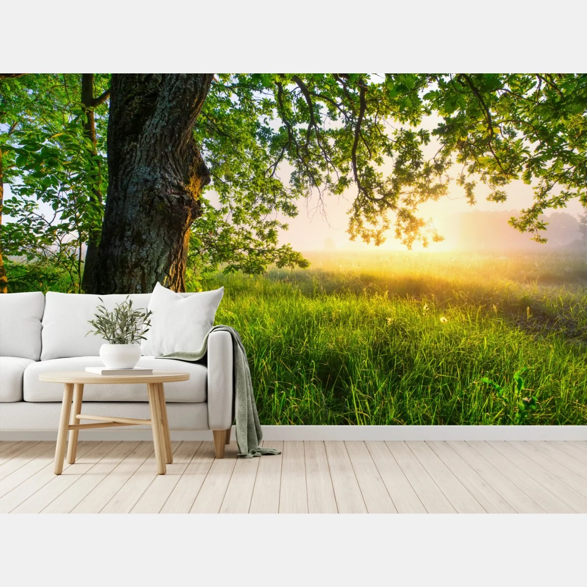 Fotomural roble majestuoso al amanecer – Pixers® Fotomural roble majestuoso al amanecer – Pixers®