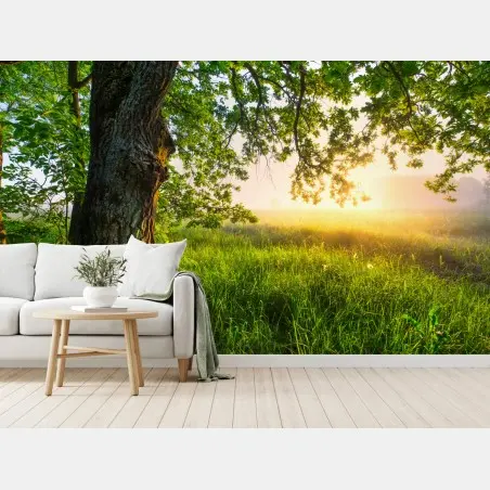 Fotomural roble majestuoso al amanecer – Pixers®
